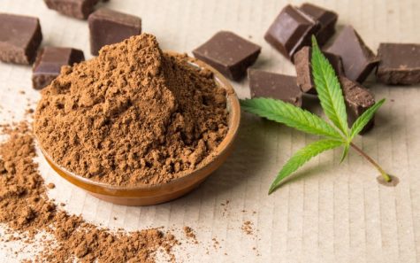 Chocolate suppresses THC levels, state researchers claim