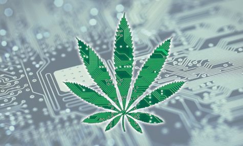 How will artificial intelligence (AI) bolster the cannabis industry?