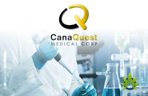 Cannaquest Medical Corp. files international patent for formulated cannabis/botanical product