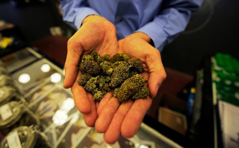 San Jose is home to the first unionized pot shop in the South Bay
