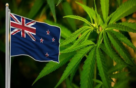 New Zealand is leaning towards recreational cannabis legalization for 2020