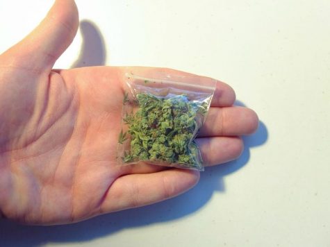 Tilray and Cronos report decline in per-gram weed prices
