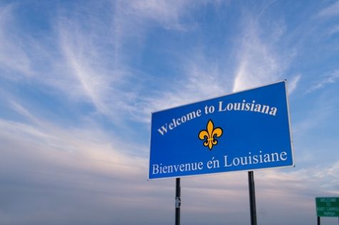 Medical cannabis too expensive for patients in Louisiana