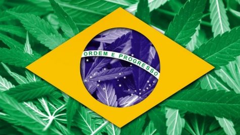 Brazil legalizes medical cannabis imports and domestic industrial hemp cultivation