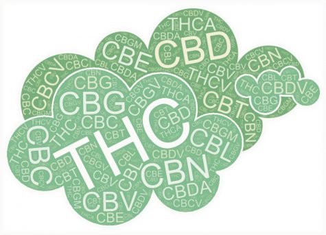 Two new cannabinoids have been identified by Italian scientists