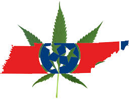 https://www.cannabisprogrower.com/legalization-issue-divides-candidates-tennessee-governor-race/