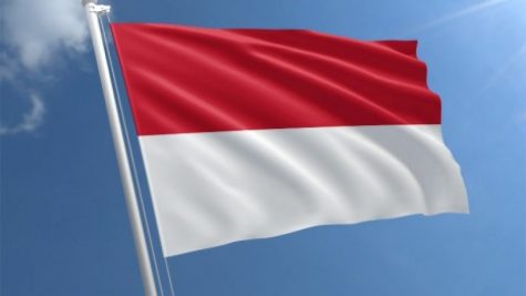 Islamic lawmaker and pro-cannabis group want Indonesia to export cannabis