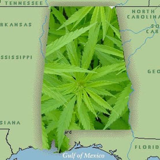 Alabama Senate Committee passes medical cannabis bill