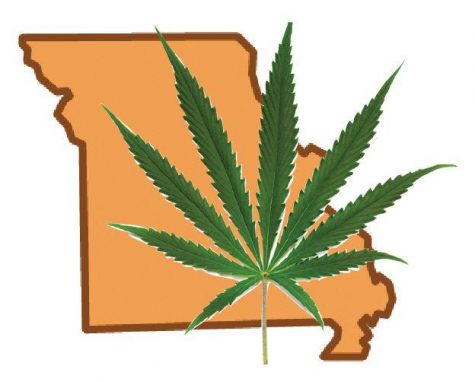 DHSS director says Missouri cannabis dispensaries will launch for business mid-summer