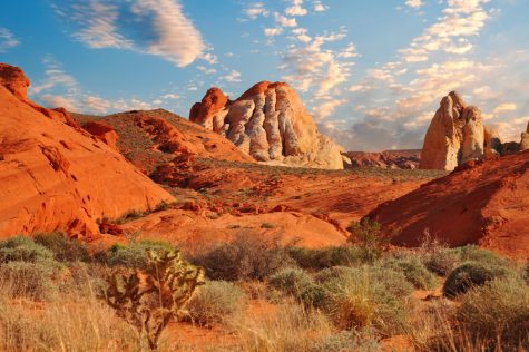 Nevada’s tribal cannabis businesses are being proactive amid COVID-19 pandemic