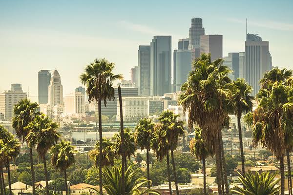 Approved amendments to Los Angeles cannabis rules could stimulate policy reform