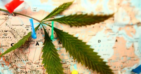 Cannabis tourism receives a positive response from surveyed travelers