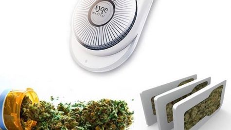 Israeli researchers reveal first clinical proof that controlled doses of cannabis can reduce pain