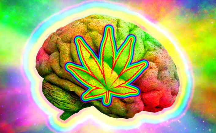 Federal Commission encourages research into cannabis and psychedelics use among military Veterans