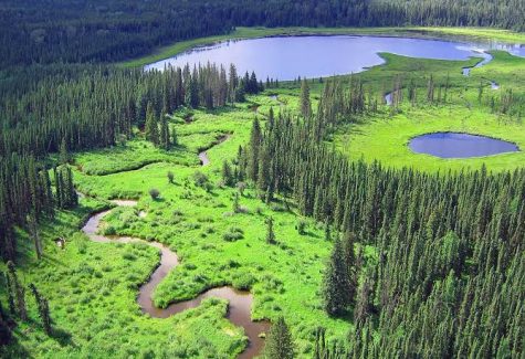 Northwest Territories in Canada are slashing prices to overshadow illicit market