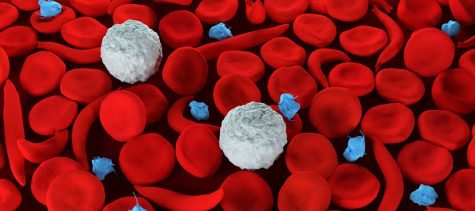 Study shows cannabis could provide pain-related mood relief in patients with sickle cell disease