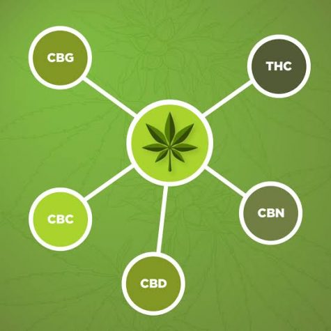 Biotechnology company slammed with $881 million synthetic cannabinoid lawsuit