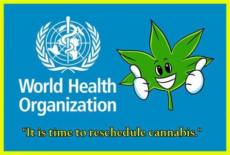https://cannabis.net/blog/news/reschedule-cannabis-says-world-health-organization