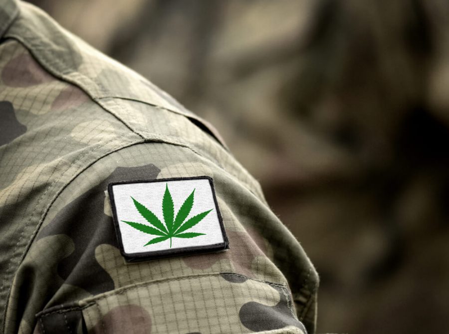 https://thecannabisindustry.org/new-veterans-cannabis-research-bill-the-care-act/
