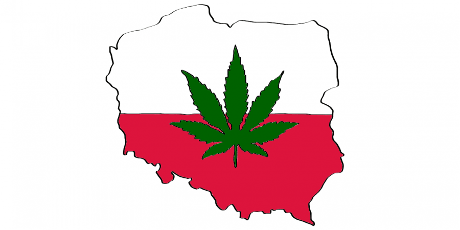https://www.thethctimes.com/is-weed-legal-in-poland/