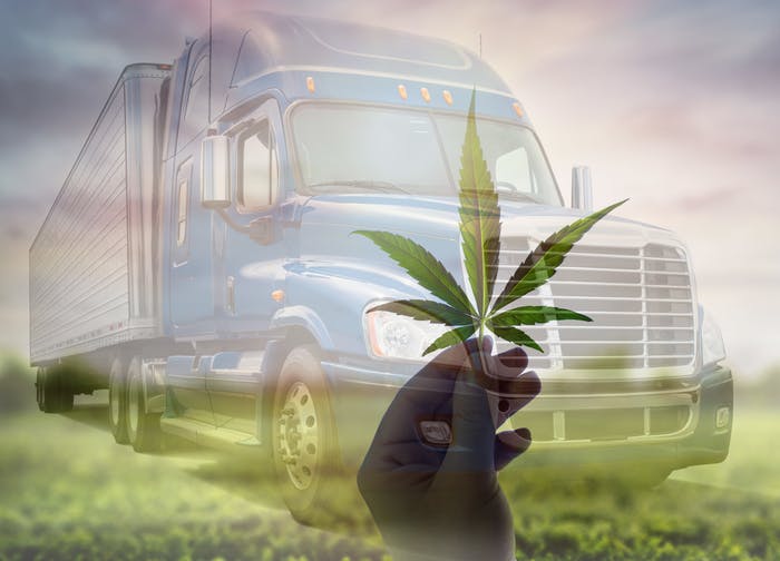 https://www.ccjdigital.com/workforce/driver-regulations/article/15065441/trucking-on-the-sidelines-of-cannabis-deregulation