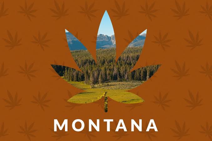 Recreational+cannabis+sales+in+Montana+reach+%2443+million+for+Q1+2022